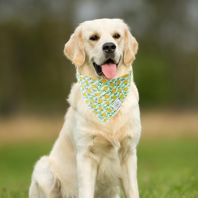 E-Clover Summer Lemon Dog Bandanas & Matching Scrunchie Set Green Stripe Dog Scarf Bibs Pet Bandana with Bow Tie for Small Dogs Puppy Owner Mom