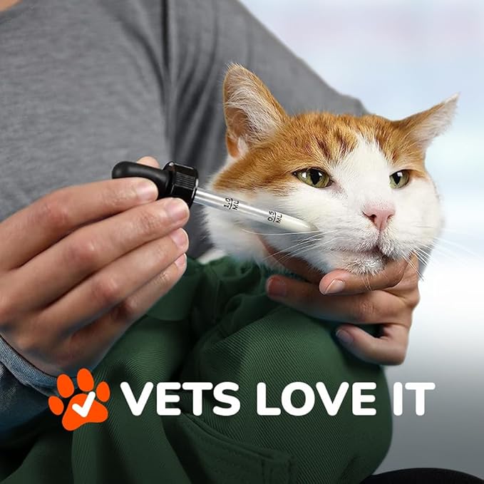 Cat-in-the-Bag Cozy Comfort Carrier - Large Green Pet Carrier and Cat Carrier Soft for Cutting Nails, Vet Visits, Medication Administration, Dental Care, & Travel