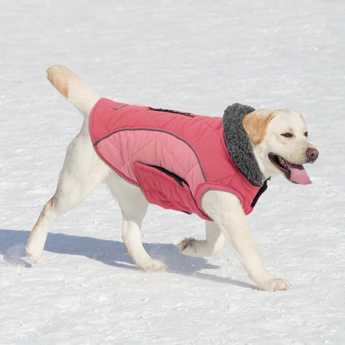 EMUST Winter Dog Coats, Fleece Dog Apparel for Cold Weather, British Style Windproof Warm, Mix-Pink, XS