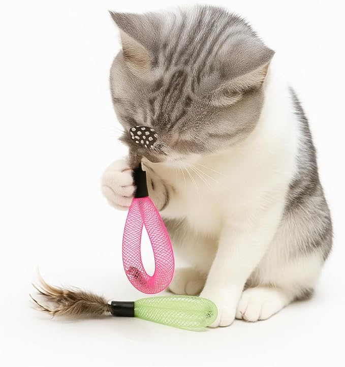 20PCS Interactive Cat Toys t for Indoor Cats, Feather Elastic Mesh, Catnip Ball, Colorful Spring, Rainbow Plush, Teething & Self-Play Kitten Accessories Variety Pack