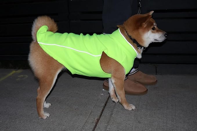 JACKO & CO - Fleece Vest Dog Sweater with Leash Ring - Soft, Warm & Lightweight Pullover Coat for Small & Medium Dogs, Puppies & Cats - Cozy Fall/Winter/Spring Pet Jacket (Lime Green, XS 2-4lbs)