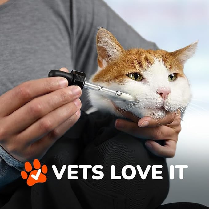 Cat-in-the-Bag Cozy Comfort Carrier - Extra Large Charcoal Cat Carrier Soft and Pet Carrier for Nail Clipping, Vet Visits, Medication Administration, Dental Care, and Traveling