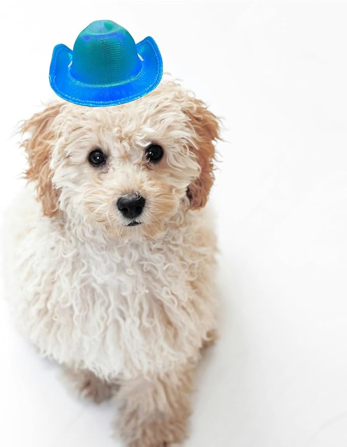 Dog Cowboy Hat Cat Cowboy Hat Pet Cowboy Costume Mini Cowboy Hat for Dogs Cat Holiday Halloween Pet Party Decoration (Blue-style2, Small)