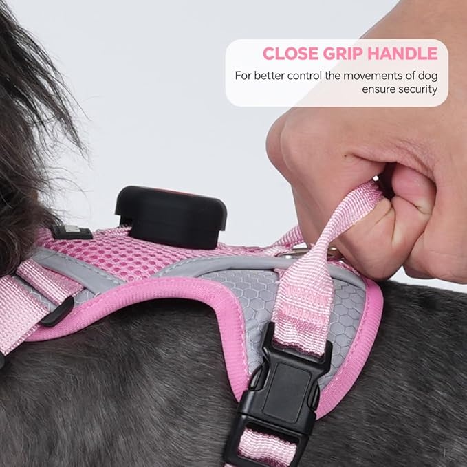Cat Harness and Leash Set with AirTag Holder: Upgraded Escape Proof Vest with Lead for Small Dog Puppy Large Cat Walking，Soft Breathable Mesh Coat with Reflective Strip (Pink, M)
