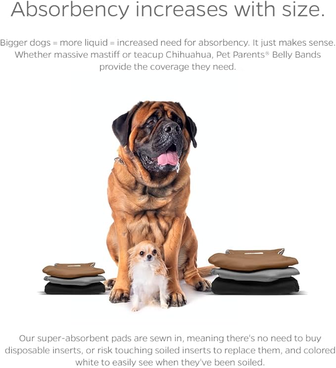 Pet Parents® Washable Belly Bands for Male Dogs (3pack) + Extendrs® of Durable Dog Diapers Male, Premium Male Dog Diapers & Dog Wraps (Medium, Natural)