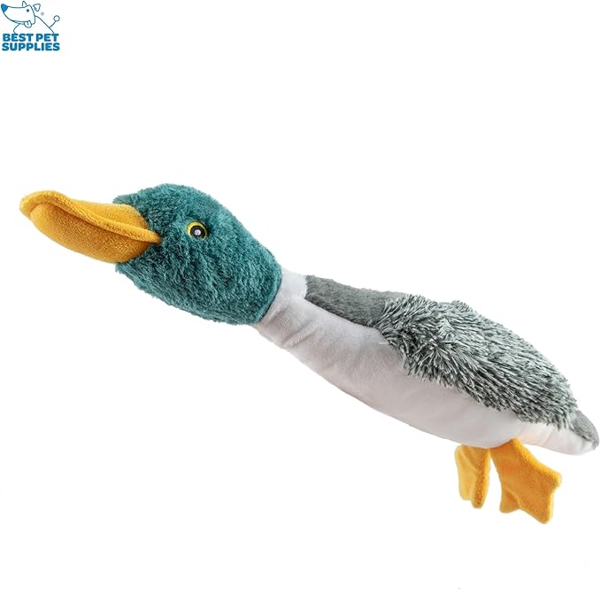 Best Pet Supplies Interactive Squeaky Dog Chew Toy, Ideal Dog Toys for Chewers, Small, Medium & Large Dogs, and Fetch Lovers - Duck (Mystery Box), Large