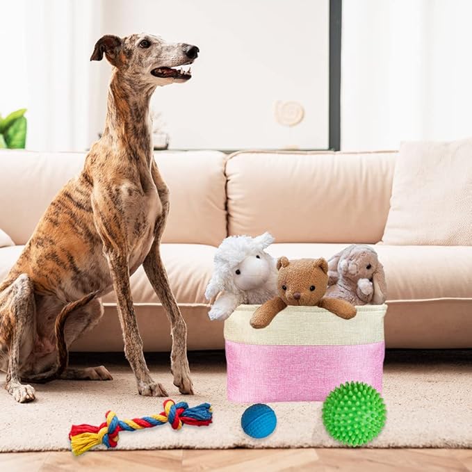 Custom Dog Toy Storage Basket with Dog's Name Sturdy Foldable Collapsible Cat Storage Bin with Handles for Organizing Pet Stuffs, Toys, Clothes,( Pink and White), 15" x 9.8" x 9"