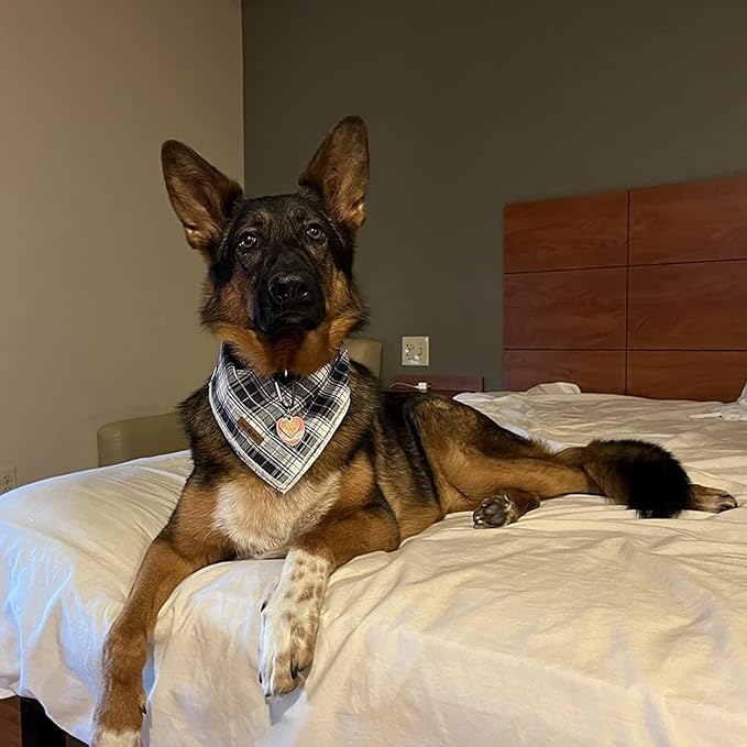 Lionet Paws Dog Bandana Washable Cotton Handkerchief Scarf Triangle Bandana for Small Medium Large Dogs