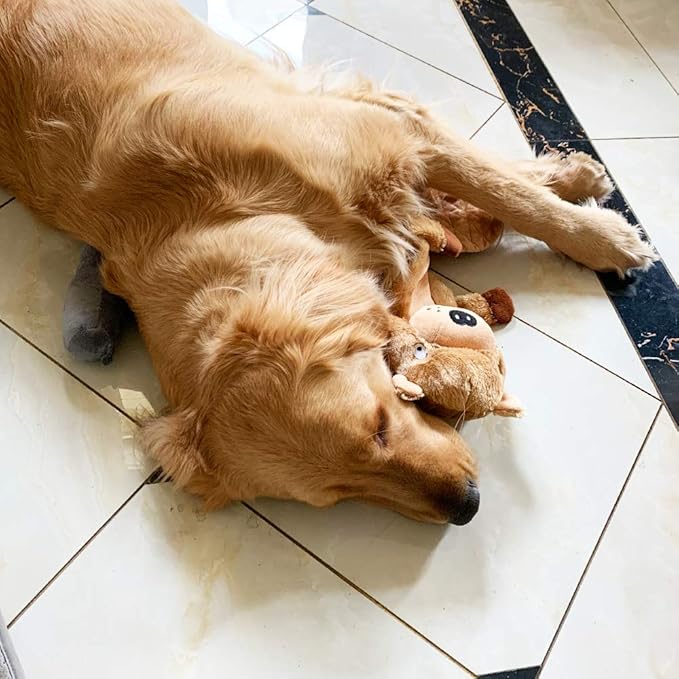 Jalousie Extra-Large Dog Squeaky Toy Interactive Rope Plush Toy for Small Medium Large Breeds Durable Dog Chew Toy (Otter)