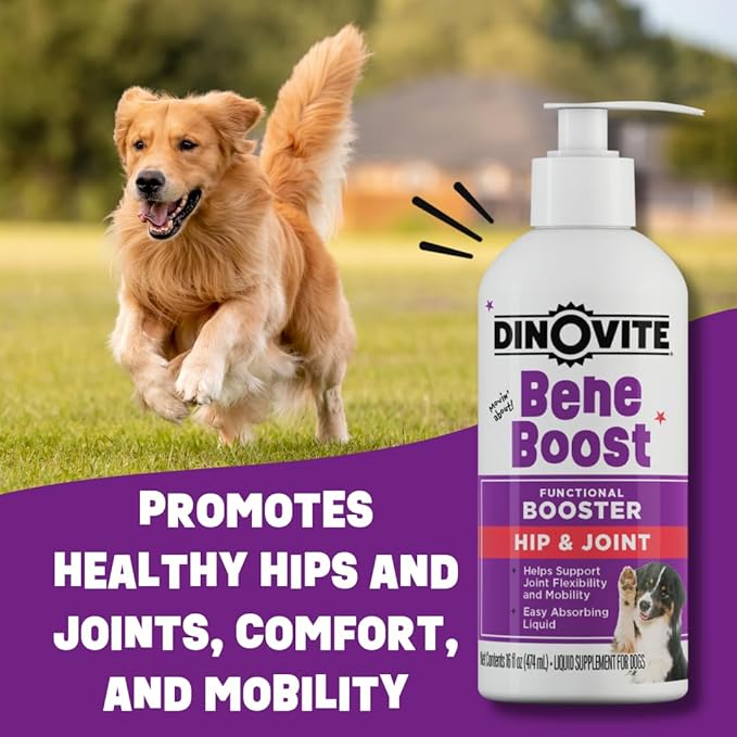 Dinovite BeneBoost Hip & Joint Liquid Topper for Dogs, Dog Joint Supplement with Glucosamine, Chondroitin, MSM & Hyaluronic Acid, Dog Mobility Support, Bacon Flavor, 6 fl oz