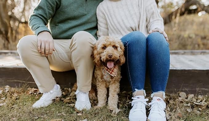 Lionet Paws Fall Dog Bandana Halloween Thanksgiving Washable Cotton Handkerchief Scarf Triangle Bandana for Small Medium Large Dogs Girl Boy