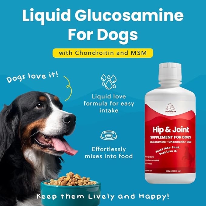Paramount Pet Health Liquid Glucosamine for Dogs, 1600mg Glucosamine Chondroitin MSM, Hip & Joint Supplement for Large Dogs, Liquid Arthritis Relief & Mobility Support, 32 oz