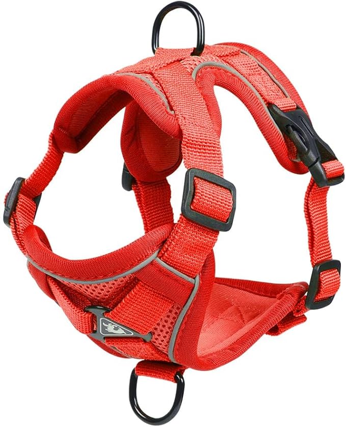 Cat Harness and Leash Set: Upgraded Escape Proof Vest with Lead for Large Cat Small Dog Puppy Walking, Soft Jacket Reflective Strips L Size Red