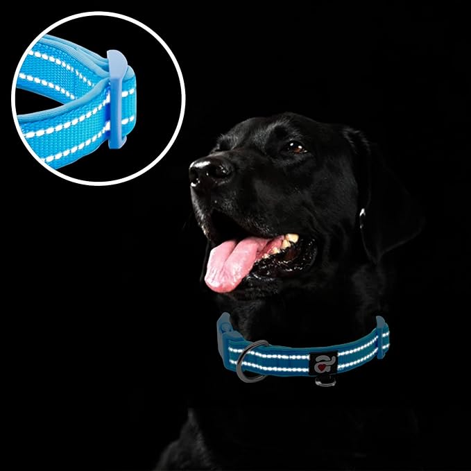 azuza Reflective Dog Collar,Soft Neoprene Padded Pet Collar with ID Tag Ring,Adjustable for Large Dogs,Sky Blue,L