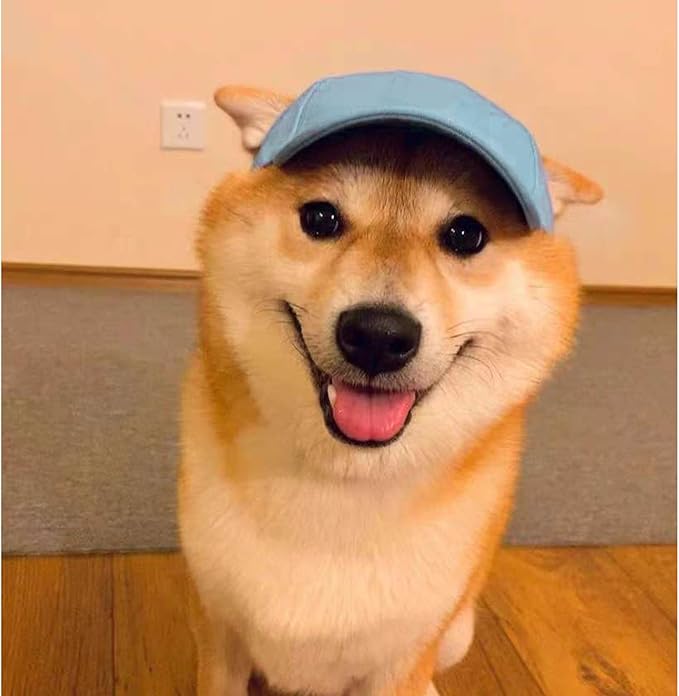 Dogs Baseball Cap Hat Pet Wide Brim Cap Visor Hat Dog Visor Cap Sun Protection Hats Dog Outdoor Breathable Sun Protection Cap with Ear Holes and Adjustable Chin Strap for Dog Doggy Visor Cap Hat Blue