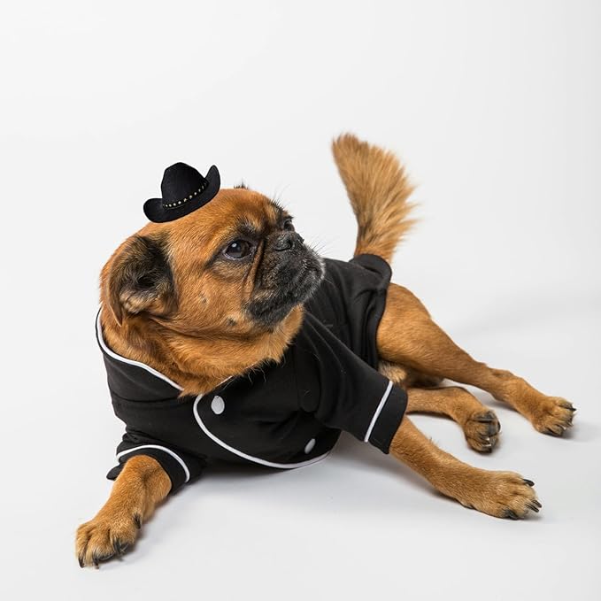 Dog Cowboy Hat Cat Cowboy Hat Pet Cowboy Costume Mini Cowboy Hat for Dogs Cat Holiday Halloween Pet Party Decoration (Black, Small)