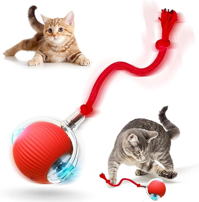 Interactive Cat Toy Ball, Smart Interactive Cat Toys, Smart Cat Toy for Enrichment, Motion Activated Automatic Cat Toys to Keep Them Busy (Red)