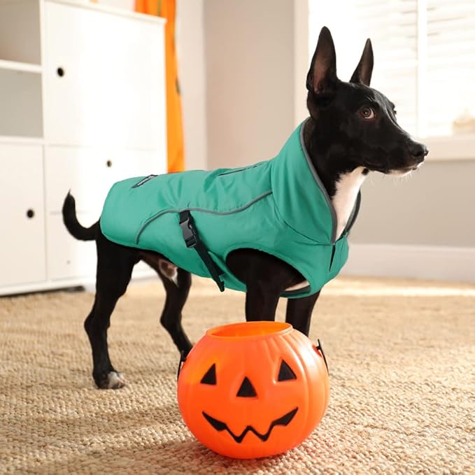 EMUST Dog Coat for Winter, Cozy Winter Jackets for Small/Medium/Large Dogs, Solid Color Dog Apparel for Cold Weather with Fleece Lining, Turquoise, XXXL