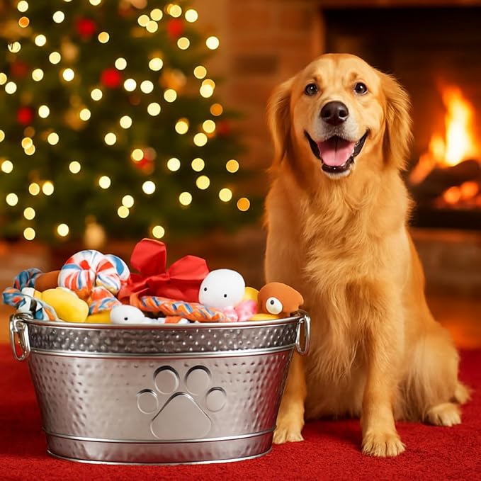 BREKX Metal Indestructible Dog Toy Bin - Steel Dog Toy Basket with Handles, Pet Storage Box, Oval for Blankets, Leashes, & Ropes for Aggressive Chewers - Pawprint Design Home Decor (Silver)