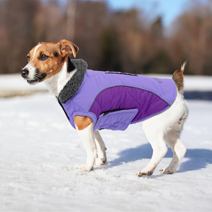 EMUST Winter Dog Coats, Fleece Pet Apparel for Cold Weather, British Style Windproof Warm Jacket for Small Dog Coats for Winter, Mix-Purple, XS