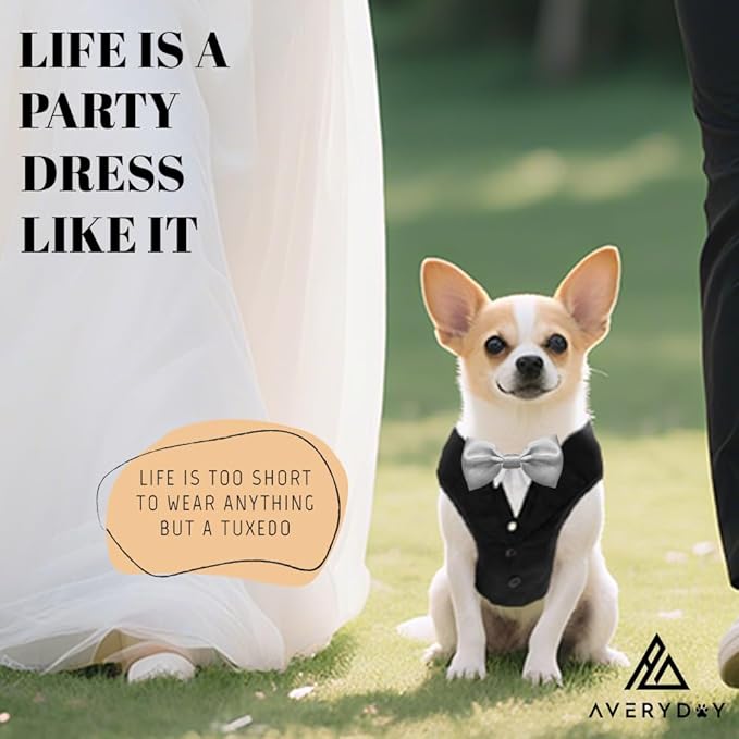 AVERYDAY XS Pet Tuxedo Harness, Wedding Costume Outfit for Small Dogs, Slim Cats and Tiny Pets with 8.3" Neck, 13-14.6" Chest, 8.5" Max Head Girth, Formal Suit Costume for Mini Breeds