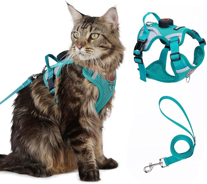 Cat Harness and Leash Set with AirTag Holder: Upgraded Escape Proof Vest with Lead for Small Dog Puppy Large Cat Walking，Soft Breathable Mesh Coat with Reflective Strip (Green, M)