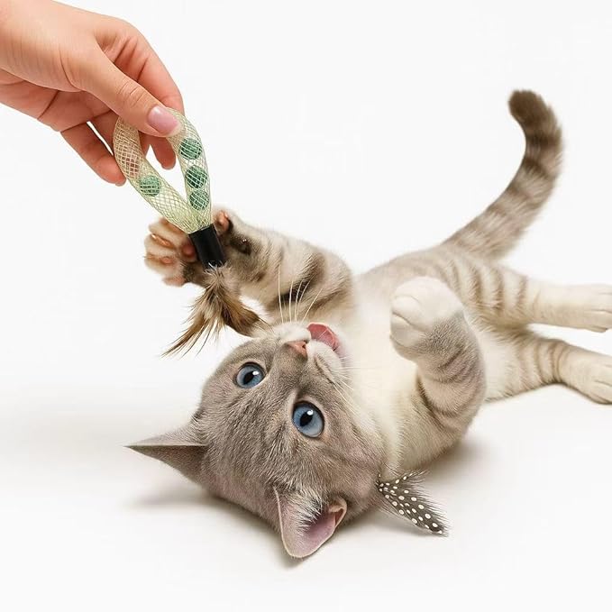 20PCS Interactive Cat Toys t for Indoor Cats, Feather Elastic Mesh, Catnip Ball, Colorful Spring, Rainbow Plush, Teething & Self-Play Kitten Accessories Variety Pack