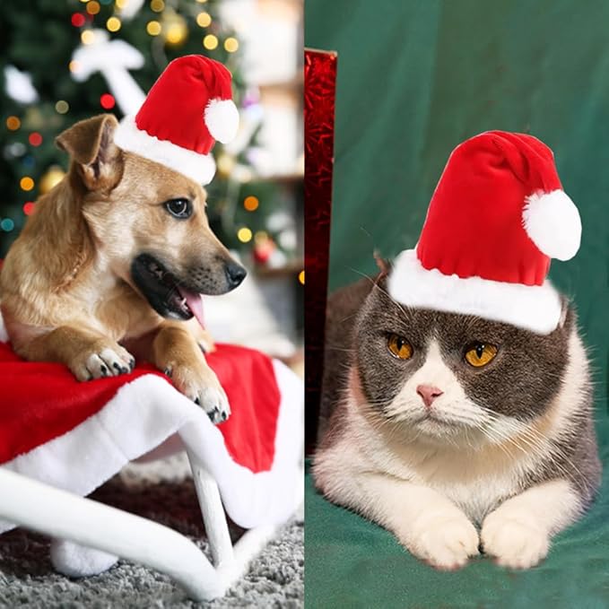 ANIAC Adjustable 3D Christmas Dog Hat for Small Dogs Cat Santa Hat Puppy Santa Costume…