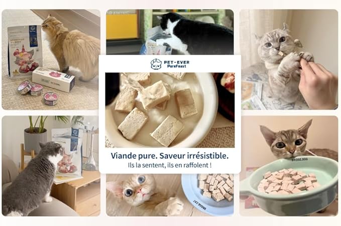 Freeze-Dried Cat Food, 97% Animal Origin Soft Dry Food for Cats Kitten, High Protein Healthy Freeze Dried Cats Raw Treat & Topper (Beef Recipe - 14 Ounce)