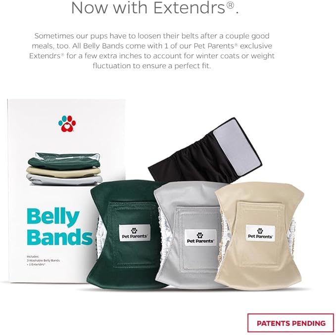 Pet Parents® Washable Belly Bands for Male Dogs (3pack) + Extendrs® of Durable Dog Diapers Male, Premium Male Dog Diapers & Dog Wraps (X-Small, Spruce)