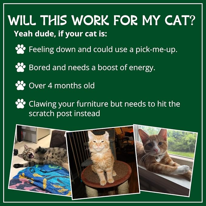 Organic Catnip, Safe Premium Blend Perfect for Cats, Instilled with Maximized Potency your Kitty is Sure to Go Crazy for (4 Cups)