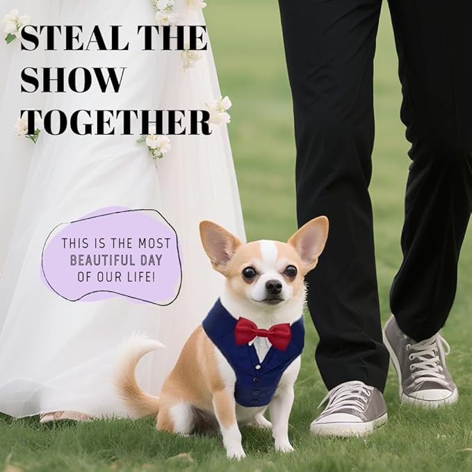 AVERYDAY XS Pet Tuxedo Harness, Wedding Costume Outfit for Small Dogs, Slim Cats and Tiny Pets with 8.3" Neck, 13-14.6" Chest, 8.5" Max Head Girth, Formal Suit Costume for Mini Breeds