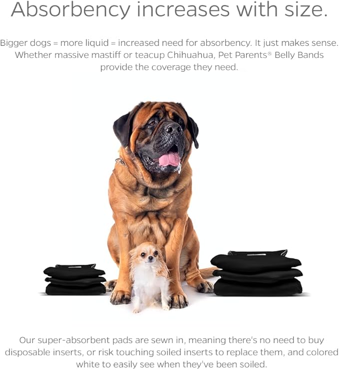 Pet Parents Washable Belly Bands for Dogs (3pack) + Extendrs Durable Dog Diapers, Premium Dog Diapers & Wraps (X-Large, Black)
