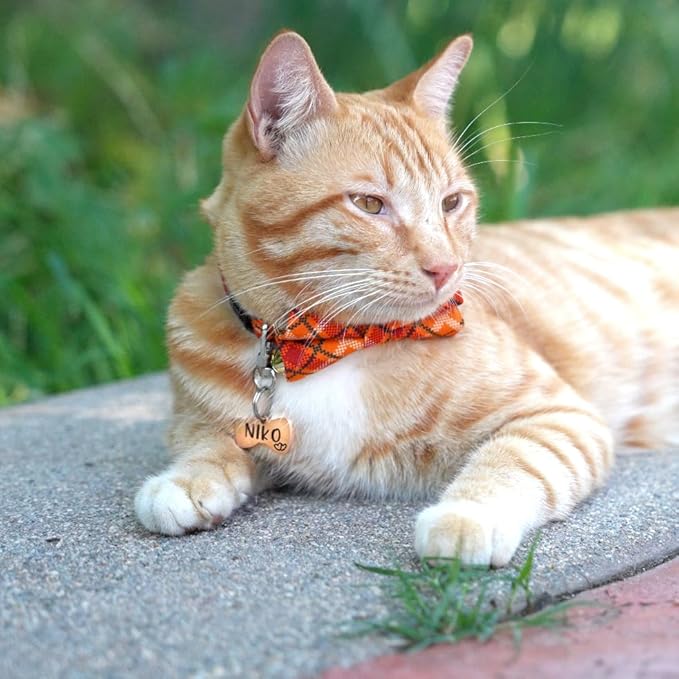 Ultra Joys Cat ID Tag Personalized Pet Tags, Durable Stainless Steel Small Pet Mini Dog Cat Tag Lightweight - Bowtie Tag in Rose Gold