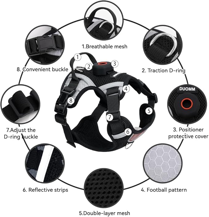 Harness Leash Set with AirTag Holder for Large Cat & Puppy, Upgraded Escape Proof Vest with Lead for Small Dog Outdoor Walking, Soft Breathable Mesh Jacket with Reflective Strip (Black, XL)