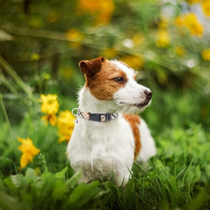 PUPTECK Adjustable Dog Harness Collar and Leash Set Step in No Pull Pet Harness for Small Medium Dogs Puppy and Cats Outdoor Walking Running, Soft Mesh Padded Reflective Vest Harnesses, Beige XL