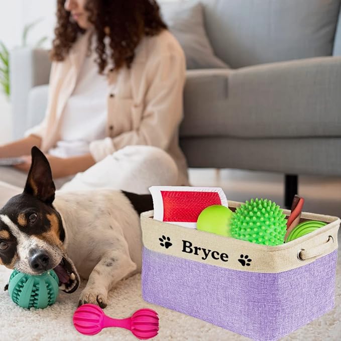 Personalized Dog Cat Toy Storage Basket with Pet's Name Sturdy Foldable Collapsible Storage Bin with Handles for Organizing Pet Stuff, Toys, Clothes, 15" x 9.8" x 9"