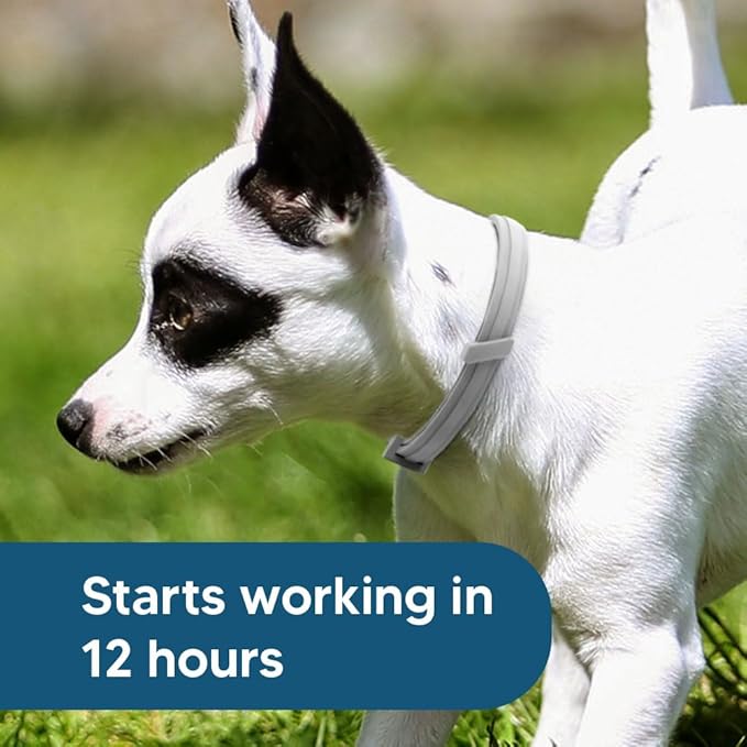 Flea Collar for Small Dogs, Tick Collars for Puppy, Small Dog Flea Collar Under 18 lbs, 8 Months Protection (Pack of 2)