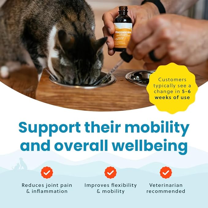 Liquid Glucosamine Chondroitin MSM for Cats, Hip & Joint Support Supplement, Helps Maintain Mobility and Flexibility, Senior Cat Glucosamine Drops for Daily Joint Care, 2oz