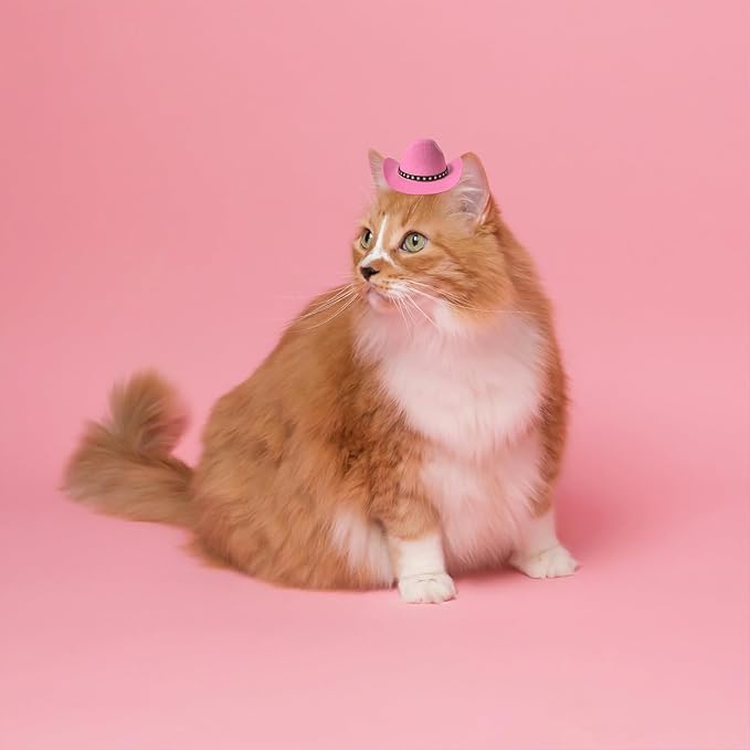 Dog Cowboy Hat Cat Cowboy Hat Pet Cowboy Costume Mini Cowboy Hat for Dogs Cat Holiday Halloween Pet Party Decoration (Pink, Small)