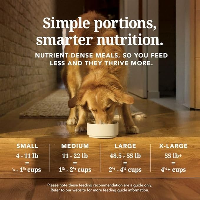 K9 Natural - Grain Free Freeze Dried Dog Food Topper - Hoki & Beef, 3.5oz