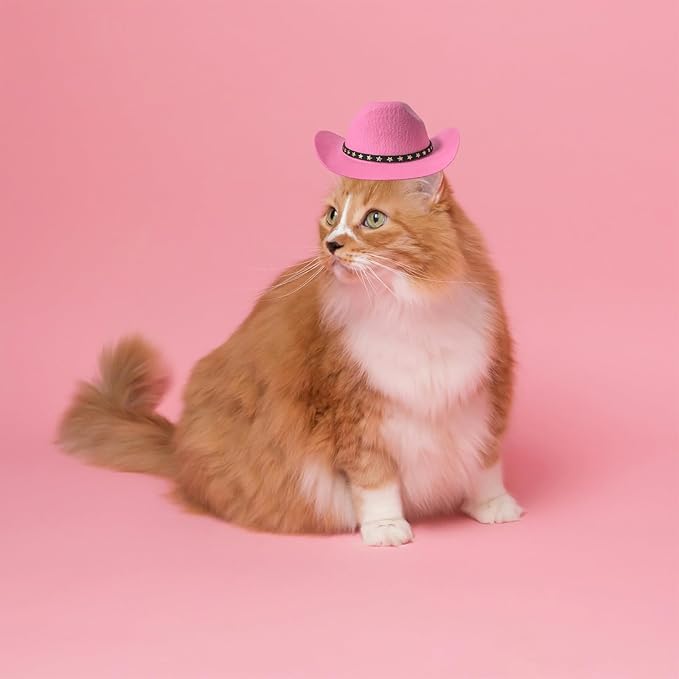Dog Cowboy Hat Cat Cowboy Hat Pet Cowboy Costume Mini Cowboy Hat for Dogs Cat Holiday Halloween Pet Party Decoration (Pink, Large)