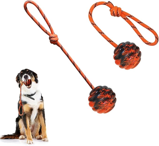 2Pcs Dog Training Ball on Rope - Exercise & Reward Toy for Dogs - Chew, Pull, Throw, Tug & Fetch - Belgian Malinois Gifts