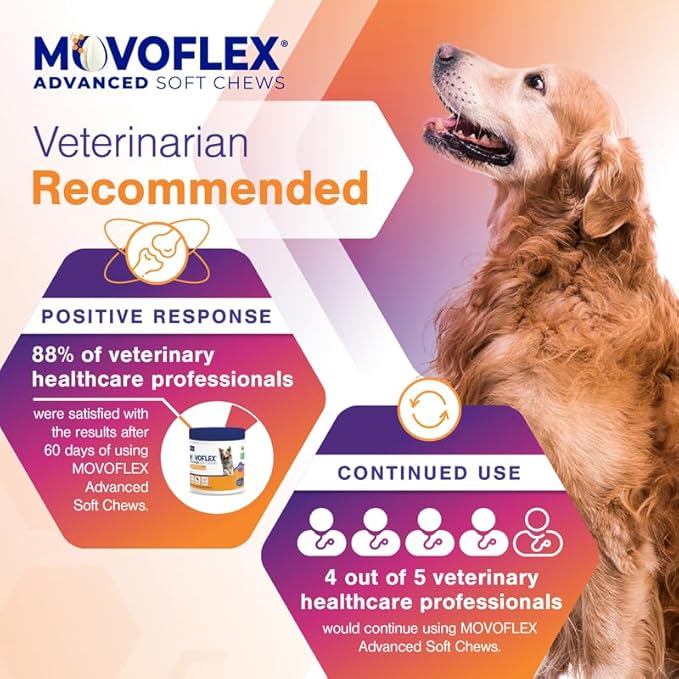 MOVOFLEX Advanced Soft Chews Hip and Joint Support Supplement for Small Dogs 120 Count by Virbac