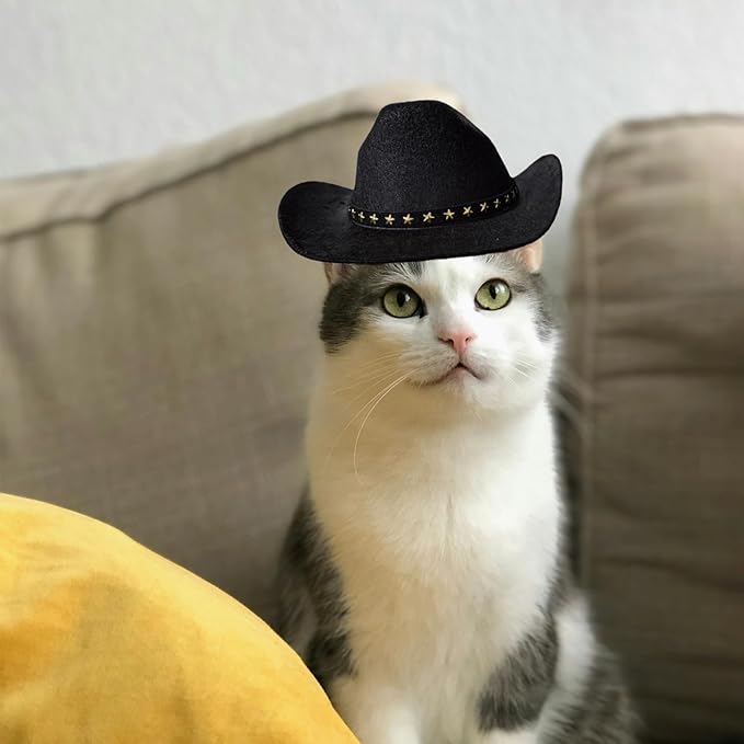 Dog Cowboy Hat Cat Cowboy Hat Pet Cowboy Costume Mini Cowboy Hat for Dogs Cat Holiday Halloween Pet Party Decoration (Black, Large)