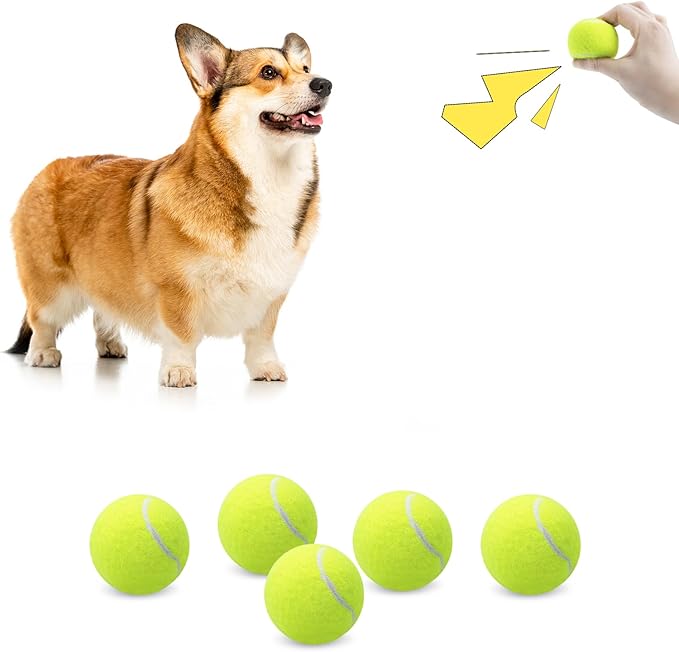 Magicorange 6 Pack Small Tennis Balls, 2 inch Squeaky Tennis Ball for Dogs,Colorful Easy Catching Squeaky Dog Balls with Mesh Bag for Easy Transport (Yellow)