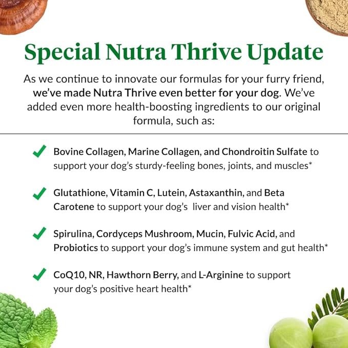 Ultimate Pet Nutrition Nutra Thrive Canine, 40-in-1 Nutritional Powder Supplement for Dogs with Digestion and Immune Support, Vitamins, Minerals, Probiotics, Enzymes, 30 Scoops