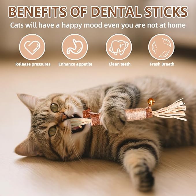 Natural Dried Matatabi Cat Chew Stick with Gall Fruit, Raffia Grass & Bell Ball Toys for Cat, Silvervine Sticks Interactive Catnip Toy for Teething & Entertainment(Size L Color G)