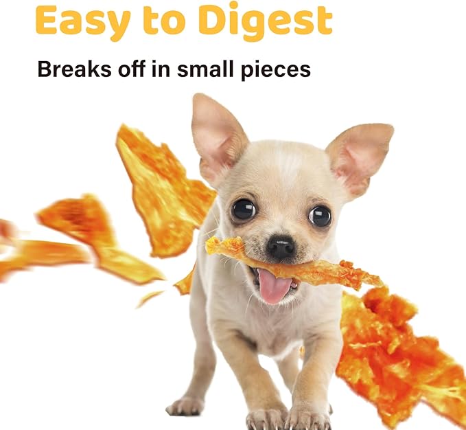 iPaw Turkey Tendons for Dogs, 100% Turkey and US Sourced Raw Material, Hypoallergenic, All Natural Human Grade Puppy Chew, Rawhide Alternative Dog Treats, 5 Unit/Pack Strip