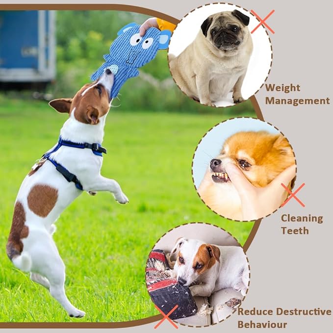 No Stuffing Dog Squeaky Toys, 8 Pack Stuffless Dog Chew Toys, Tough Soft Plush Crinkle Toys, Pet Supplies Durable Puppy Teething Interactive to Keep Them Busy for Small Medium Breeds